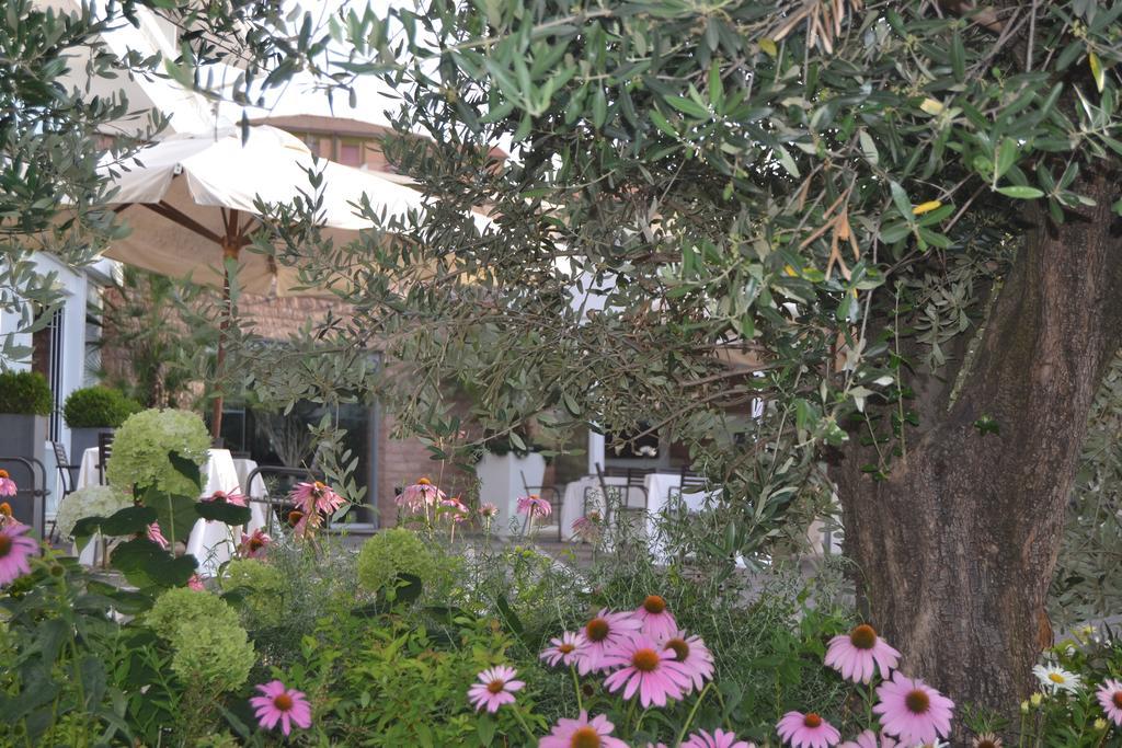 Albergo La Pace Segni Exterior foto